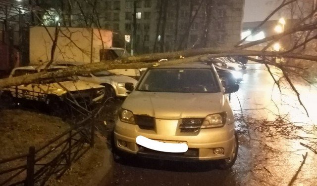 Последствия штормового ветра в Петербурге