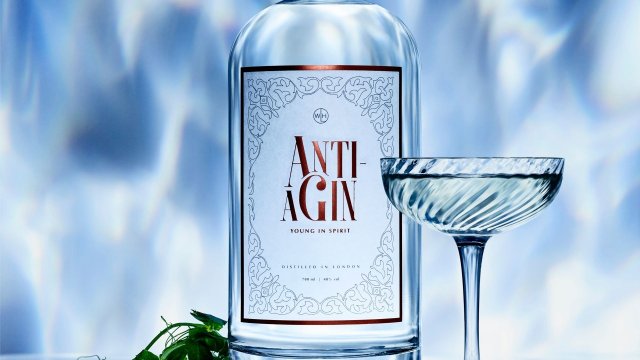 Anty gin