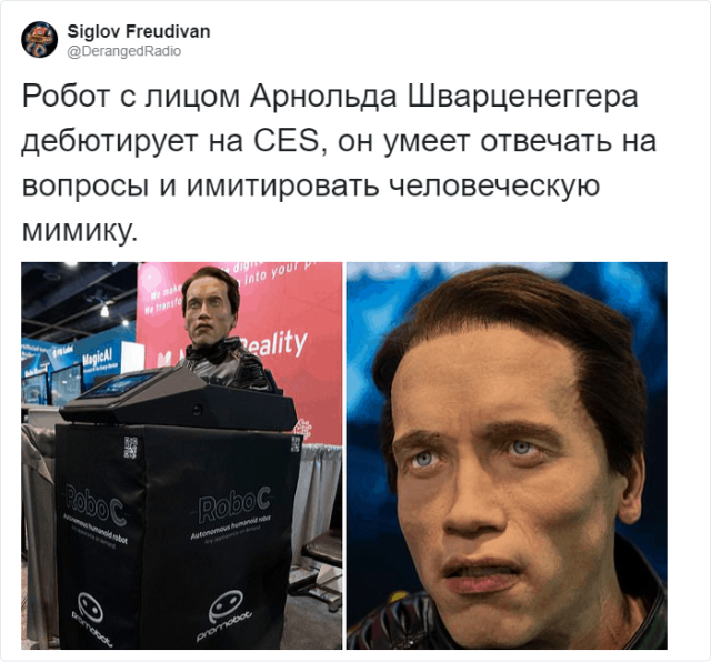 Робот-помощник с лицом Арнольда Шварценеггера Android Robo-C