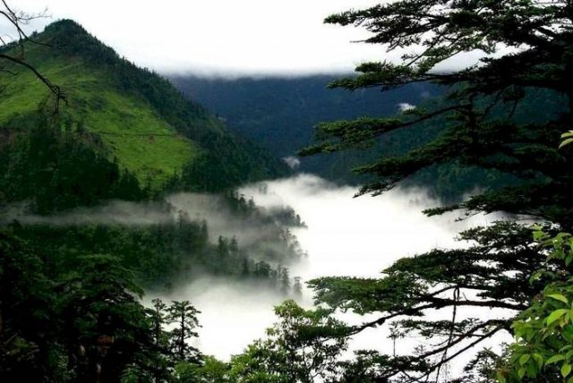 Лощина черного бамбука, Китай