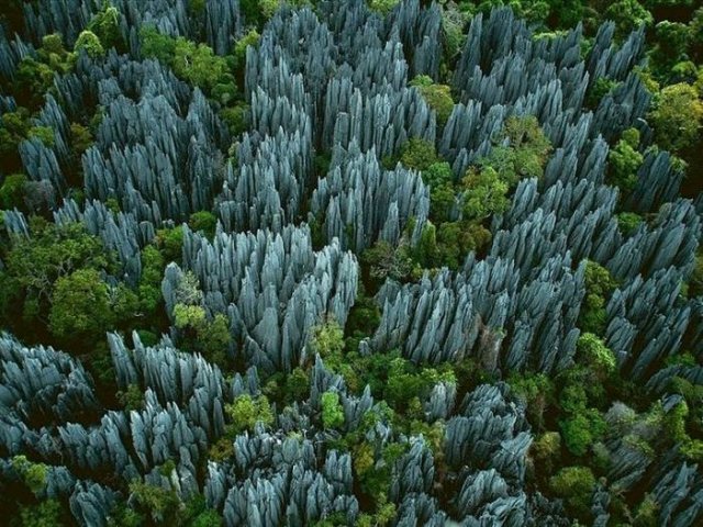 Каменный лес, Мадагаскар