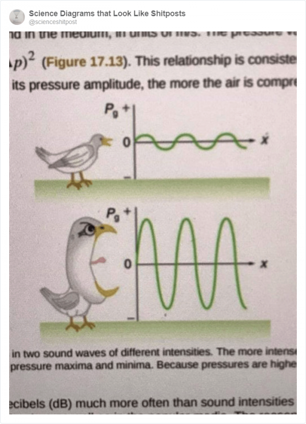 Безумные иллюстрации из школьных учебников