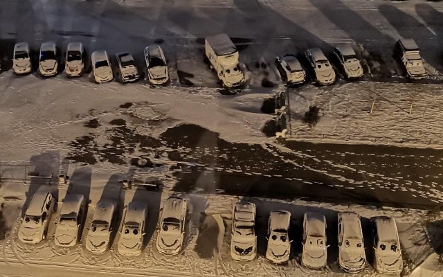 Художник решил «поиздеваться» над машинами в Шушарах