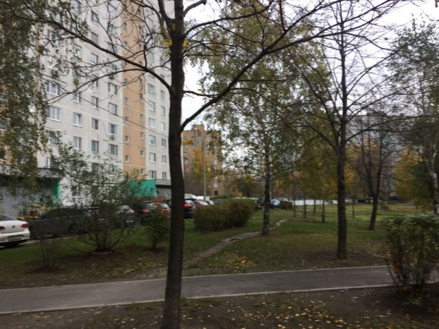 Хотите увидеть, как выглядит самая маленькая квартира России?