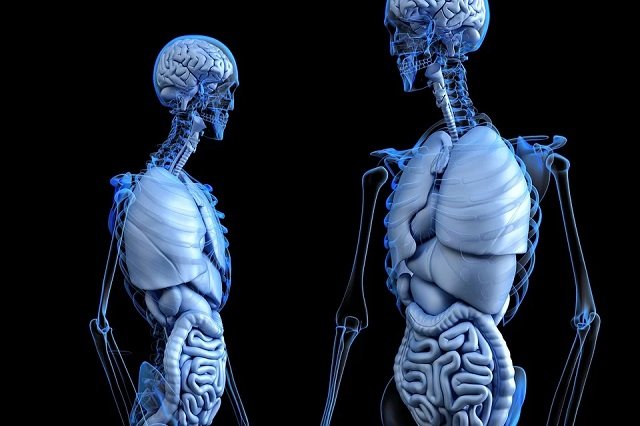 Подборка интересных фактов о человеческом теле (10 фото)