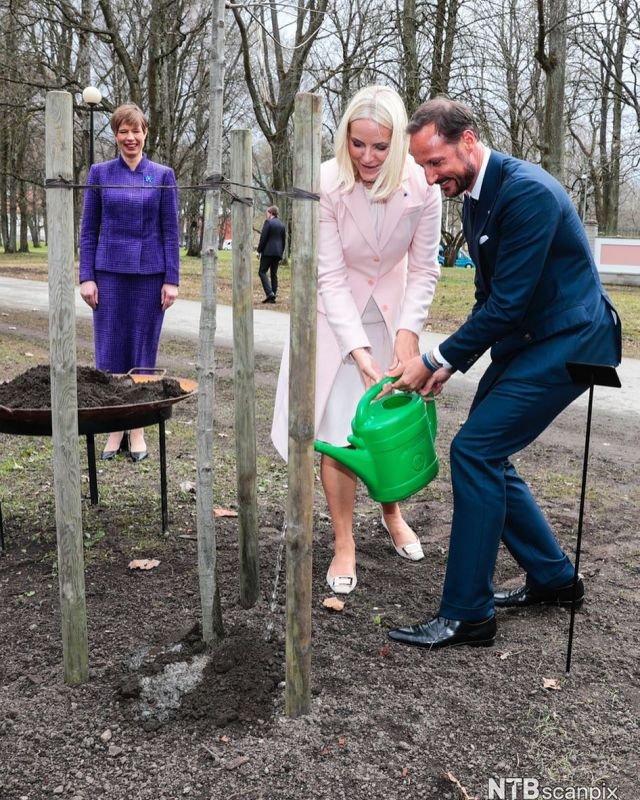Заботятся об окружающей среде