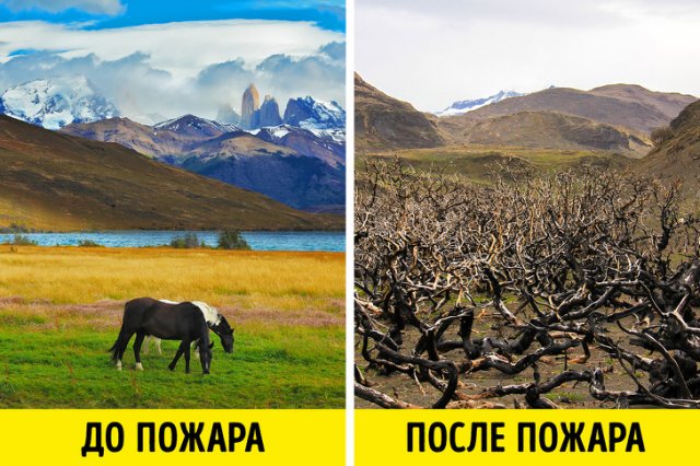Торрес-дель-Пайне, Чили
