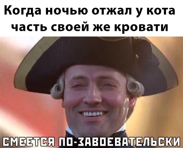 Отвоевал у кота часть кровати