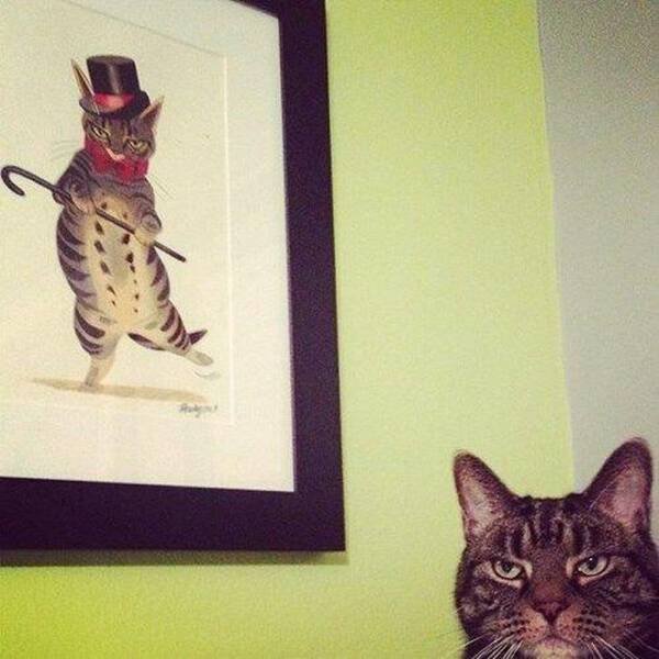 Кот и картина
