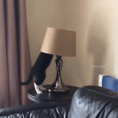 Кот лезет в лампу