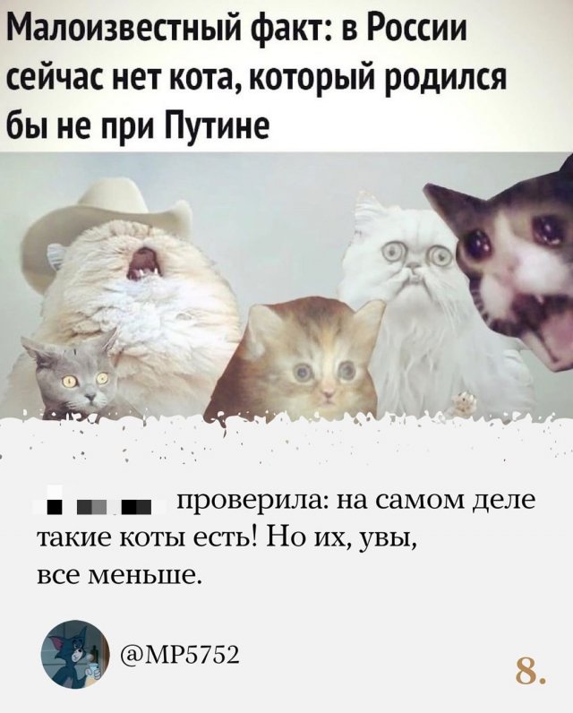 Коты и скачок во времени – как Сеть прореагировала на обнуление президентских сроков Владимира Путин