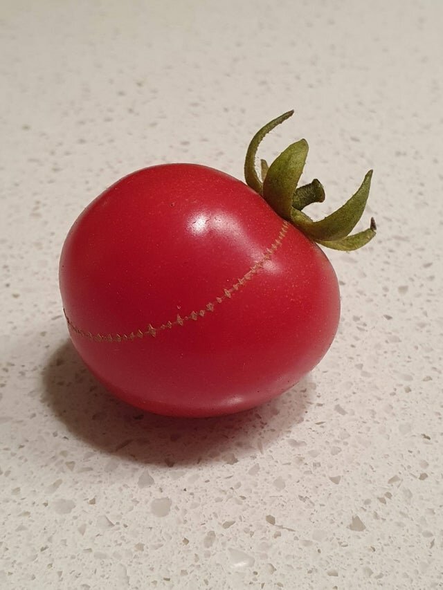 &quot;Зашитый&quot; помидор