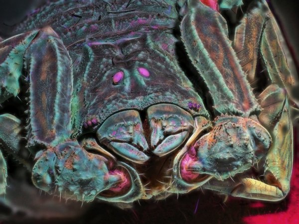 Привычные вещи под действием ультрафиолета