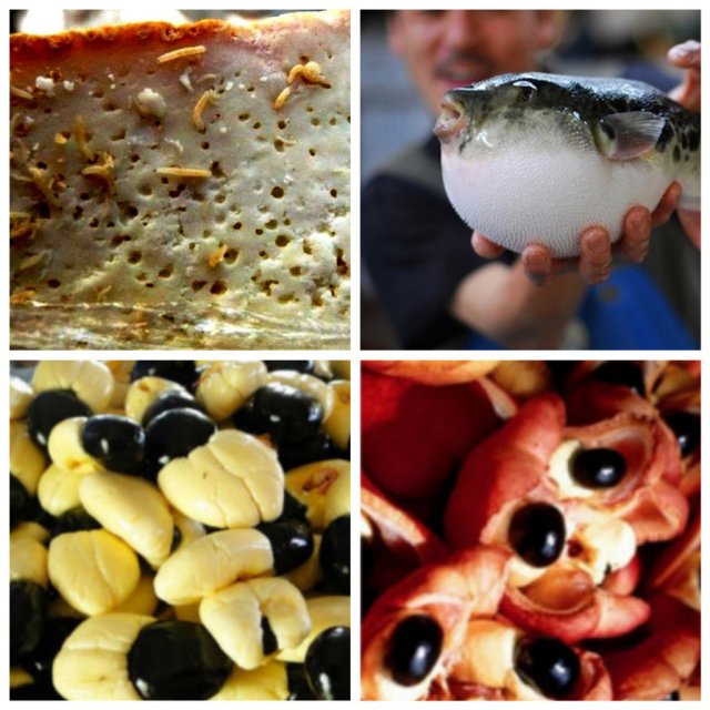 Самые опасные деликатесы в мире (4 фото)