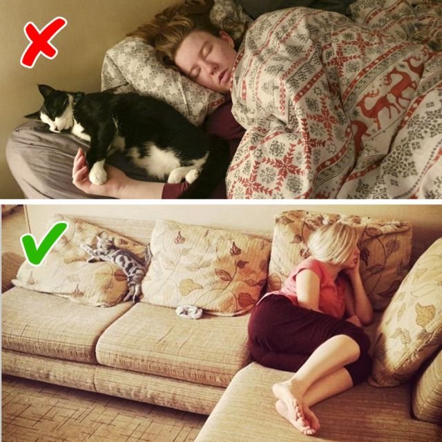 Нельзя спать с котом