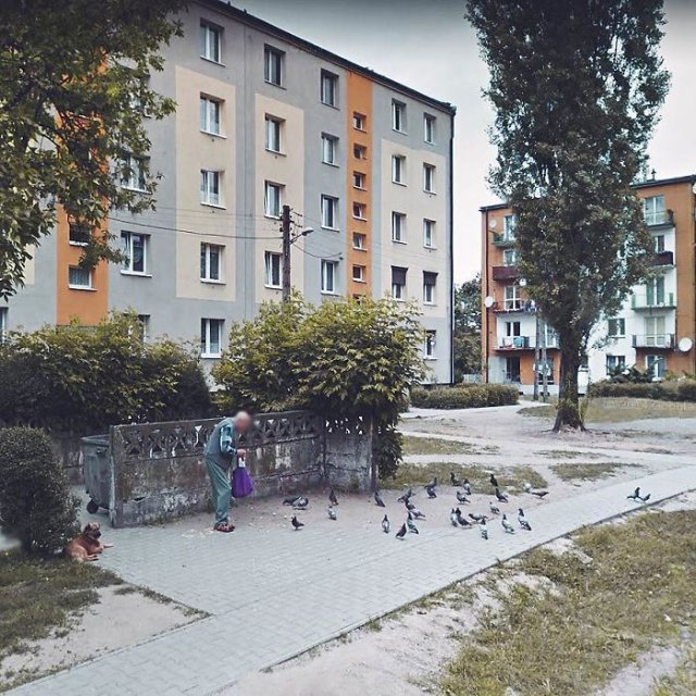 Прогулка по Польше во время карантина - странные и необычные фото