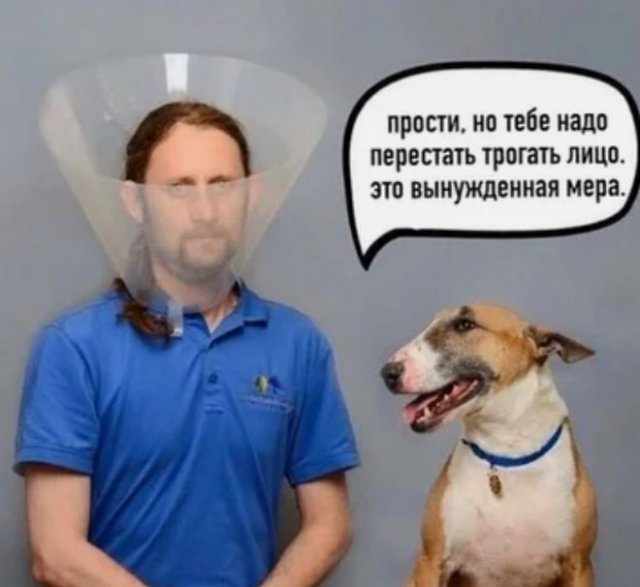 Черный юмор: немного &quot;черных&quot; шуток о происходящем в мире