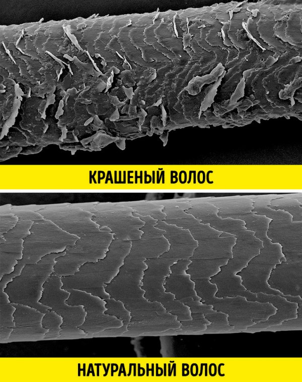 Как краска влияет на структуру волоса Как краска влияет на структуру волоса
