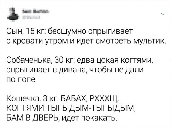 Подборка забавных твитов