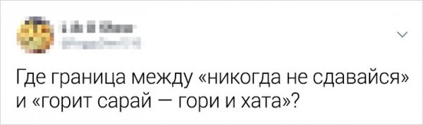 Подборка забавных твитов