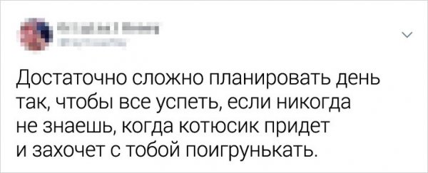 Подборка забавных твитов
