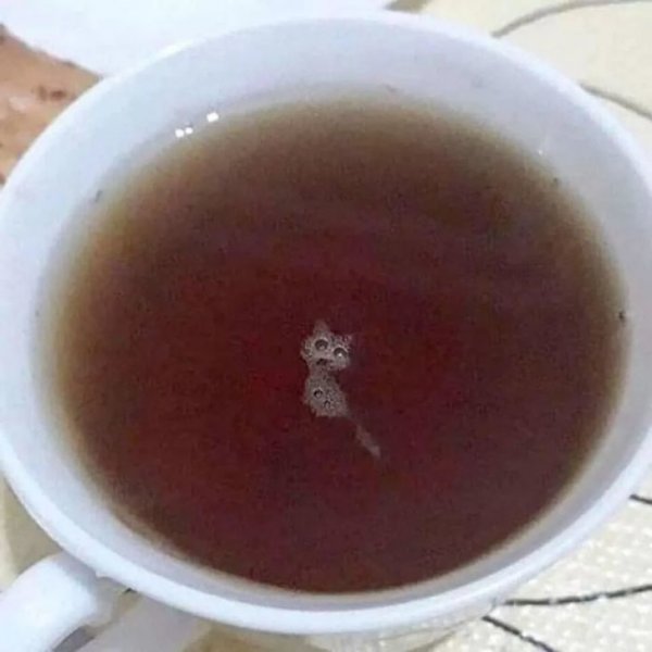 Чай с котиком