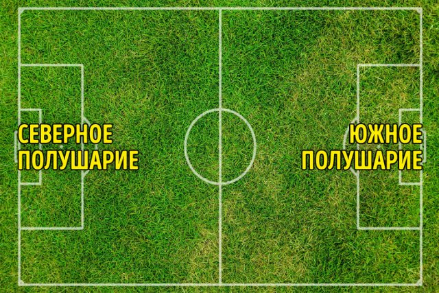 Футбол на двух полушариях