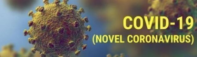 Пандемия коронавируса: последние новости. 13.04.2020 (утро)