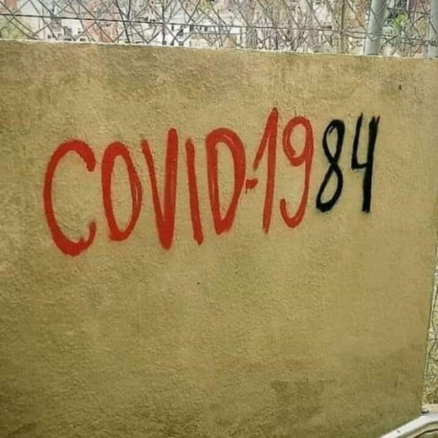 Самоизоляция, удаленка и бизнес: что волнует пользователей в Сети?