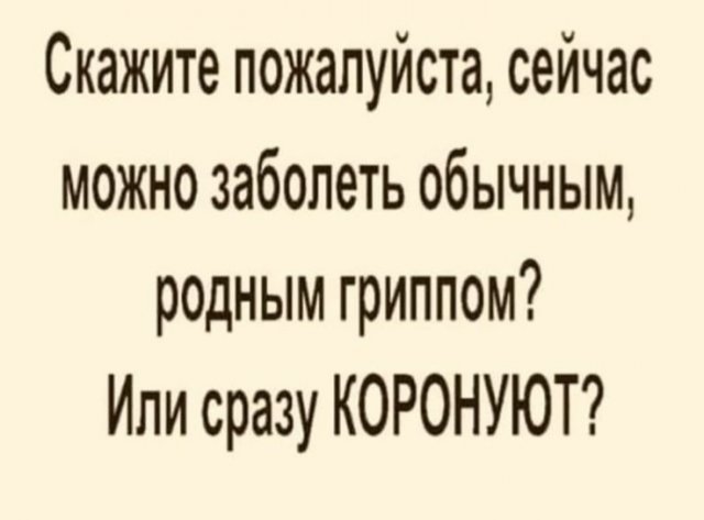 Карантин, еда и удаленка: что волнует пользователей в Сети