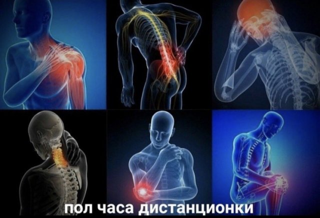 Карантин, еда и удаленка: что волнует пользователей в Сети