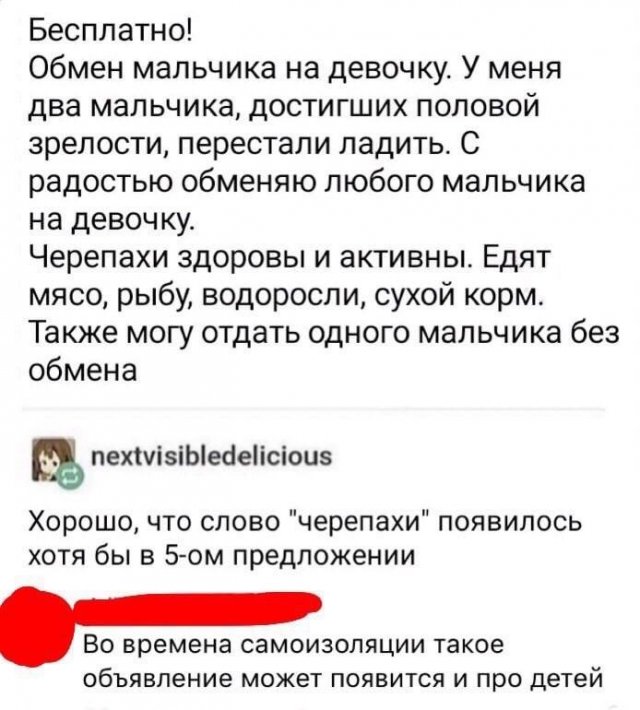 лучшие мемы из Сети