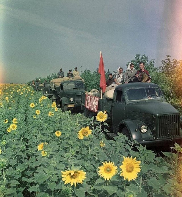 Душевные фотографии из СССР