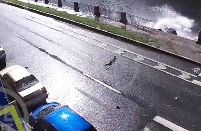 В Санкт-Петербурге водитель пробил ограждение и вылетел в Фонтанку