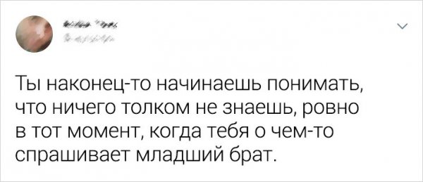 Подборка забавных твитов о взрослой жизни