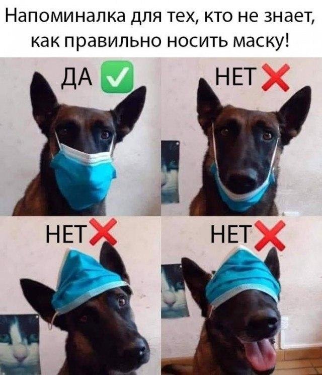 лучшие мемы из Сети