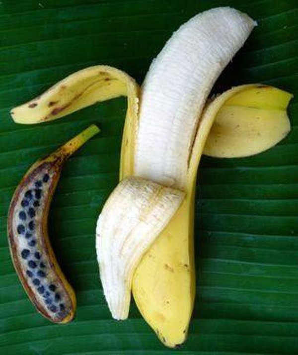 Слева находится настоящий банан