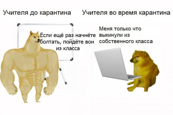 Качок Доге и Чимс: забавный мем про разницу поколений