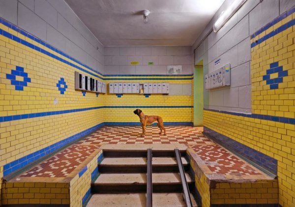 «Оставленный», 2011 год «Оставленный», 2011 год