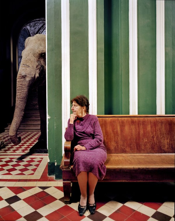 «Слон I», 2005 год «Слон I», 2005 год