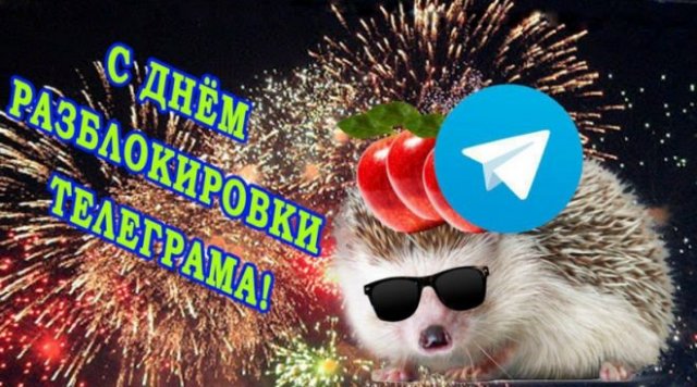 Мемы и приколы про отмену блокировки Telegram