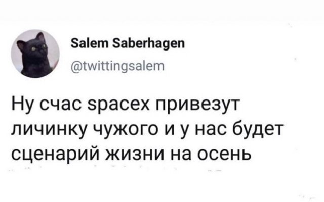 Коронавирус, отпуск и голосование: о чем шутят в Сети