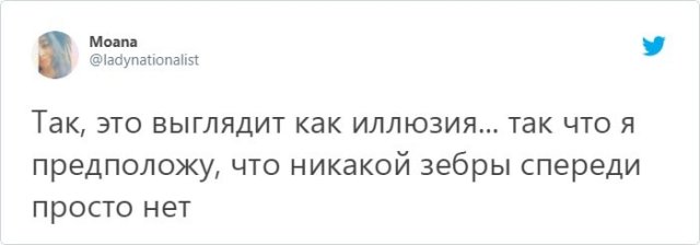 Спор Века: Какая Зебра Стоит Впереди - Левая Или Правая? » 24Warez.