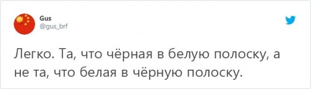 Спор века: какая зебра стоит впереди - левая или правая?