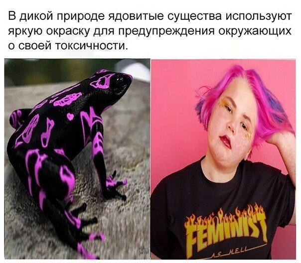 Шутки и мемы про феминизм
