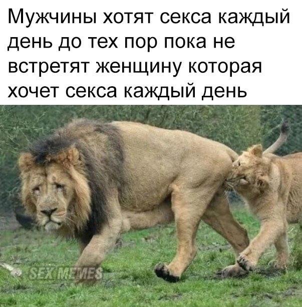 Приколы и мемы про &quot;это&quot;