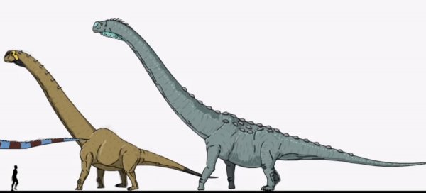 Завропосейдон и аргентинозавр (и хвост апатозавра)