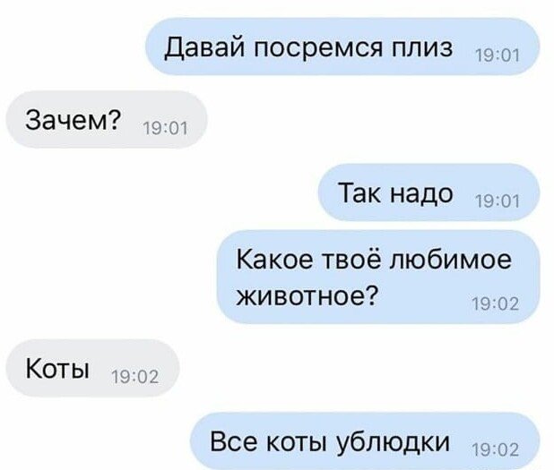 Безумие, которое пишут и обсуждают девушки