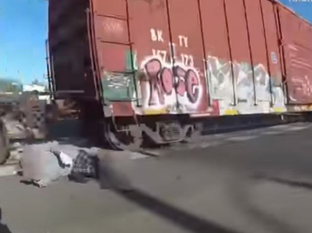 Калифорнийский полицейский вытащил инвалида на коляске из-под поезда за долю секунды до трагедии