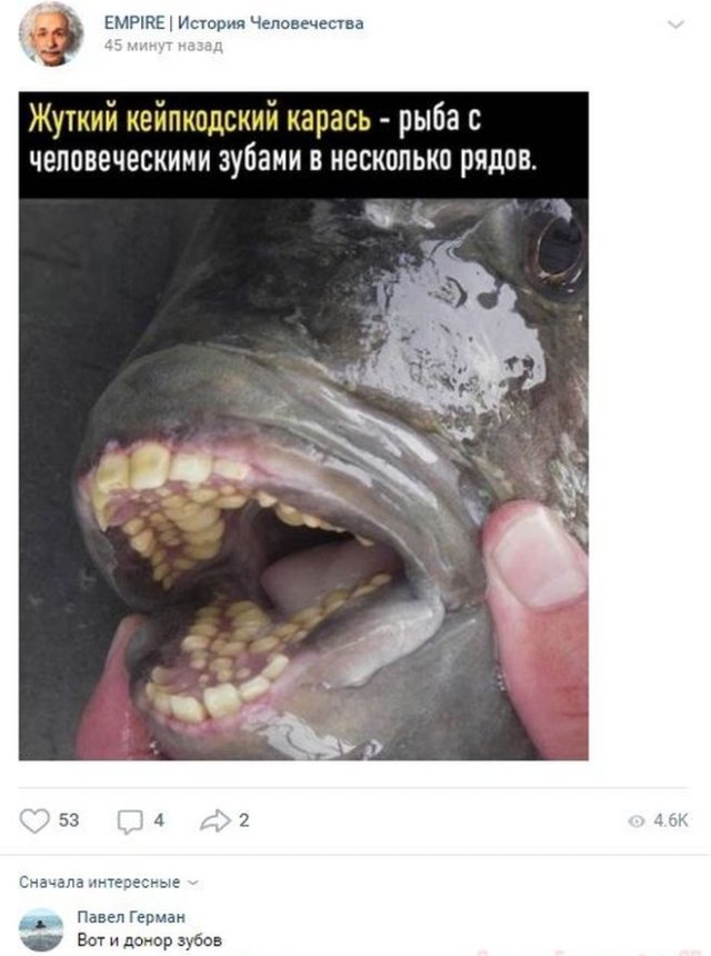 комментарий про рыбу с человеческими зубами